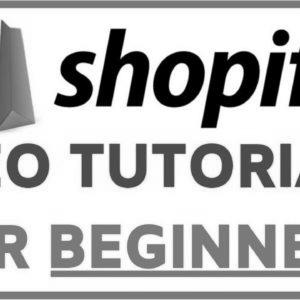 Shopify SEO Optimization Tutorial For Rookies |  Step-by-step FREE TRAFFIC