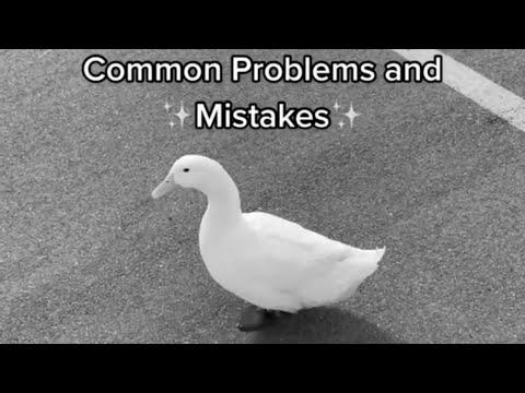 Methods to Pick Up a Duck #1 (full video)